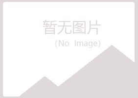 宁夏盼山能源有限公司